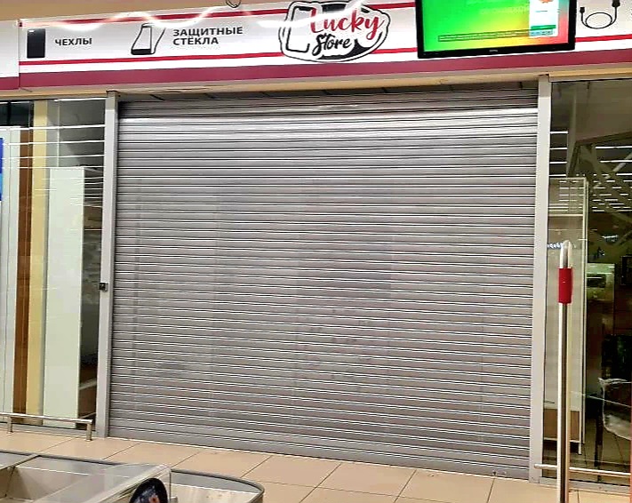 Роллетные ворота DoorHan в Чите с установкой